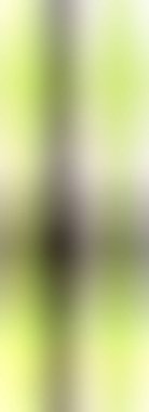 Soyut, renkli arkaplan. Metniniz için basit çok renkli duvar kağıdı.