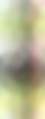 Grunge soyut karışık renkli arka plan. Arka plan için modern fütürist duvar ya da fotokopi alanı olan duvar kağıdı. Renkli resim