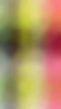 Modern gradyan çok renkli arkaplan. Tasarımınız için kopya alanı ile boyanmış duvar kağıdı.