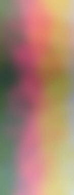 Modern gradyan çok renkli arkaplan. Tasarımınız için kopya alanı ile boyanmış duvar kağıdı.