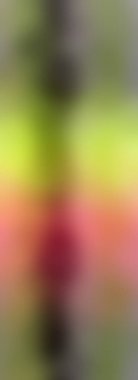 Grunge soyut karışık renkli arka plan. Arka plan için modern fütürist duvar ya da fotokopi alanı olan duvar kağıdı. Renkli resim