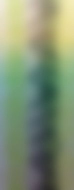 Modern gradyan çok renkli arkaplan. Tasarımınız için kopya alanı ile boyanmış duvar kağıdı.