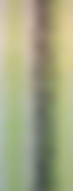 Soyut rengarenk arkaplan. arkaplan için modern boyalı duvar ya da fotokopi alanı olan duvar kağıdı. çok renkli resim