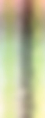 Soyut rengarenk arkaplan. arkaplan için modern boyalı duvar ya da fotokopi alanı olan duvar kağıdı. çok renkli resim