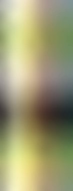 Değişik renkte arkaplan. Kopya alanı olan modern boyalı duvar kağıdı. 