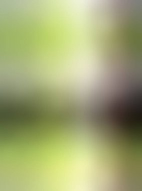 Soyut rengarenk arkaplan. arkaplan için modern boyalı duvar ya da fotokopi alanı olan duvar kağıdı. çok renkli resim