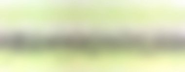 Soyut rengarenk arkaplan. arkaplan için modern boyalı duvar ya da fotokopi alanı olan duvar kağıdı. çok renkli resim