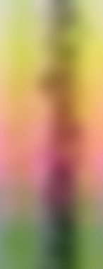 Değişik renkte arkaplan. Kopya alanı olan modern boyalı duvar kağıdı. 