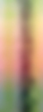 Soyut rengarenk arkaplan. arkaplan için modern boyalı duvar ya da fotokopi alanı olan duvar kağıdı. çok renkli resim