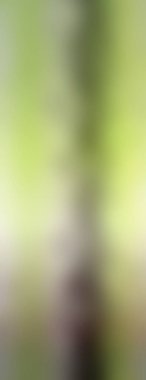 Soyut rengarenk arkaplan. arkaplan için modern boyalı duvar ya da fotokopi alanı olan duvar kağıdı. çok renkli resim