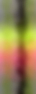 Değişik renkte arkaplan. Kopya alanı olan modern boyalı duvar kağıdı. 