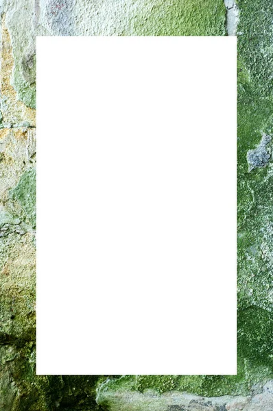 Textura Uma Parede Verde Molde Musgo — Fotografia de Stock