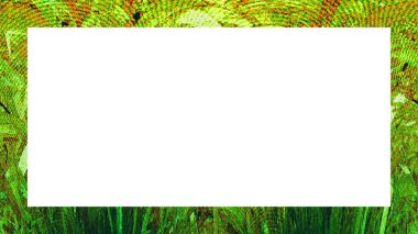 Yaşlı Grunge soyulmuş, soyulmuş, plastik duvarlı, soyulmuş antika çatallı desenli bir çerçeve. Retro Stucco çizilmiş desen. Resim için Boş Alan, Metin. Dikdörtgen yatay Sancak