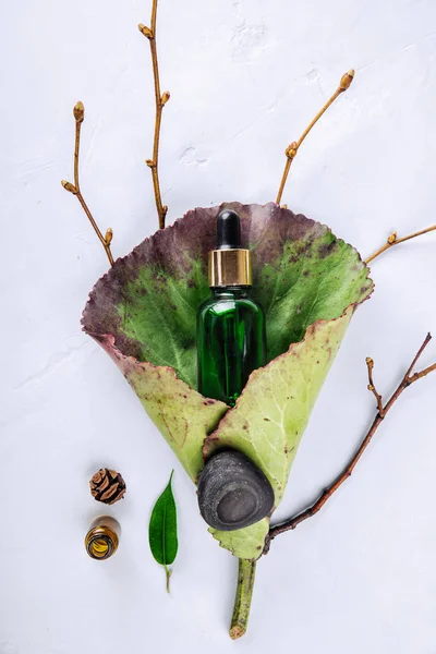 Stile minimale. Estratto di erbe, olio essenziale, siero di latte in fiala su foglia verde. Il concetto di cosmetici naturali. Posa piatta — Foto Stock