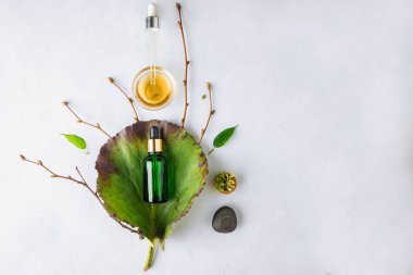 Organik Spa kozmetik bitkisel maddeler ile. Sebze serum cilt için. Serum ile bitkisel özler. Bir pipet ve beyaz zemin üzerine yeşil dal ile şeffaf cam şişede serum
