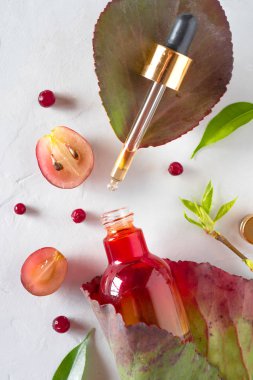 Organik bio kozmetik bitkisel maddeler ile. Doğal yağlar, serum ayıklar. Alanı, düz yatıyordu kopyalayın, yukarıdan görüntüleme