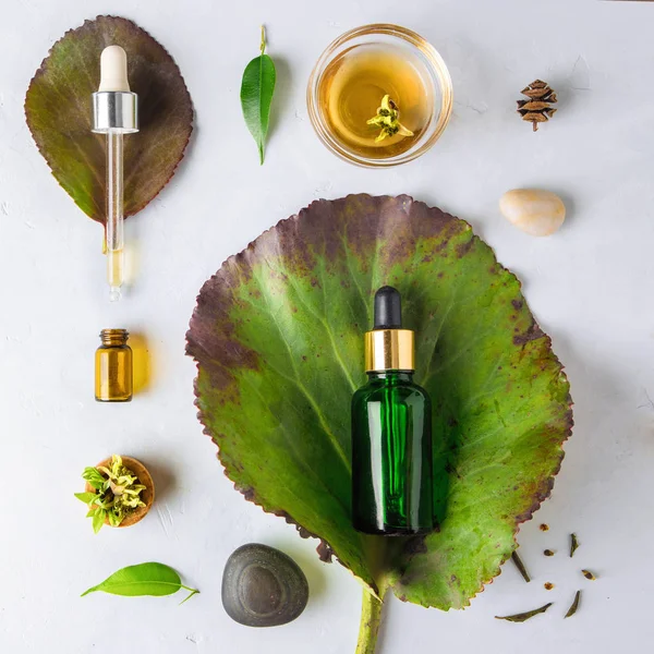 Organik Spa kozmetik bitkisel maddeler ile. Sebze serum cilt için. Serum ile bitkisel özler. Bir pipet ve beyaz zemin üzerine yeşil dal ile şeffaf cam şişede serum