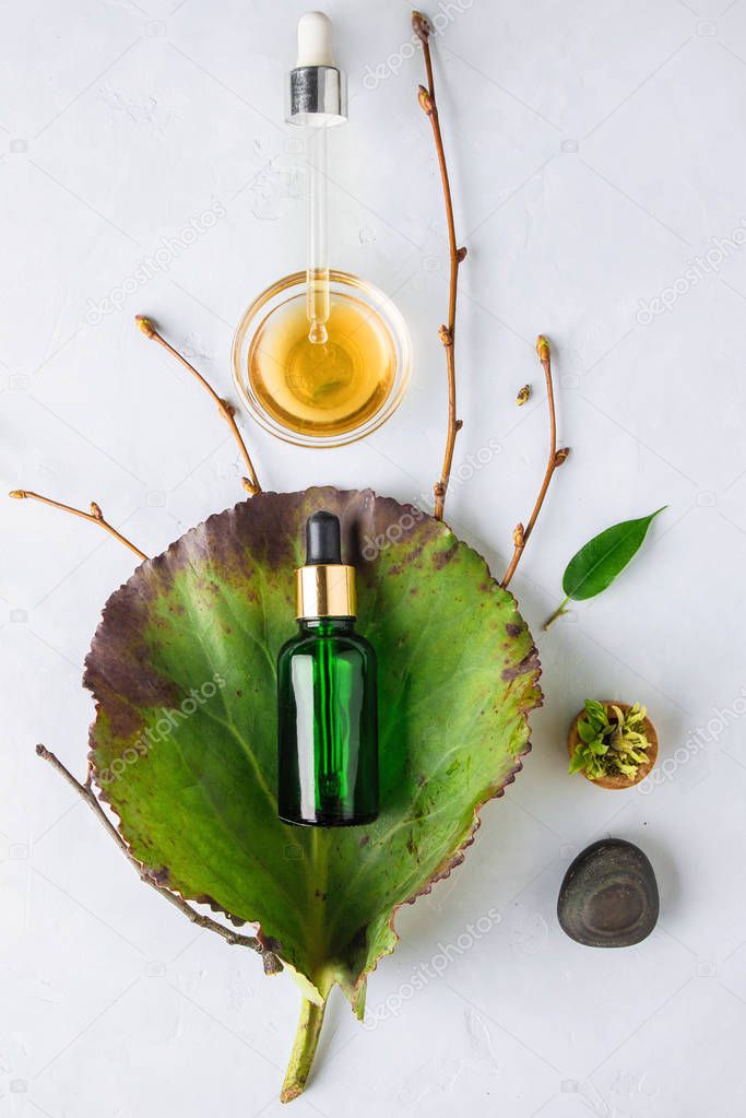 Organic Spa Cosmetic With Herbal Ingredients. Vegetable serum for skin. Serum with herbal extracts. Serum in a transparent glass bottle with a pipette and green twig on a white background