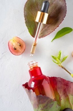 Orangic parfüm sebze malzemelerle. Bio kozmetik ve parfüm kavramı.