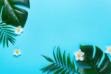 Tropikal çerçevesinde Monstera ve palm, pembe arka plan metin için bir yer bırakır. Üstten görünüm, düz yatıyordu,