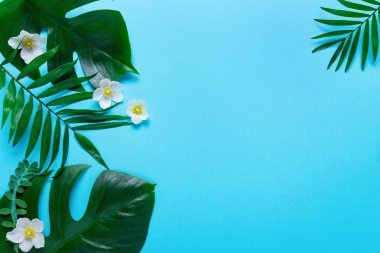 Tropikal çerçevesinde Monstera ve palm, pembe arka plan metin için bir yer bırakır. Üstten görünüm, düz yatıyordu,