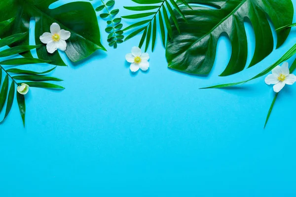 Tropikal çerçevesinde Monstera ve palm, pembe arka plan metin için bir yer bırakır. Üstten görünüm, düz yatıyordu