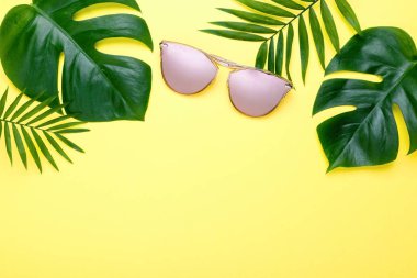 Tropikal kompozisyon Monstera yaz ve pembe arka plan metin yazabileceğiniz bir palmiye. Üstten görünüm, düz yatıyordu,