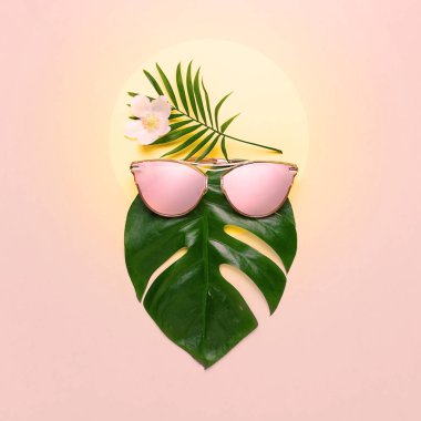 Tropikal plaj kavramı. Moda hippi Monstera trendy gözlük. Yaratıcı poster, pembe pastel arka plan