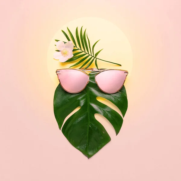 Concepto de playa tropical. Monstera hipster de moda en gafas de moda. Cartel creativo, fondo pastel rosa — Foto de Stock