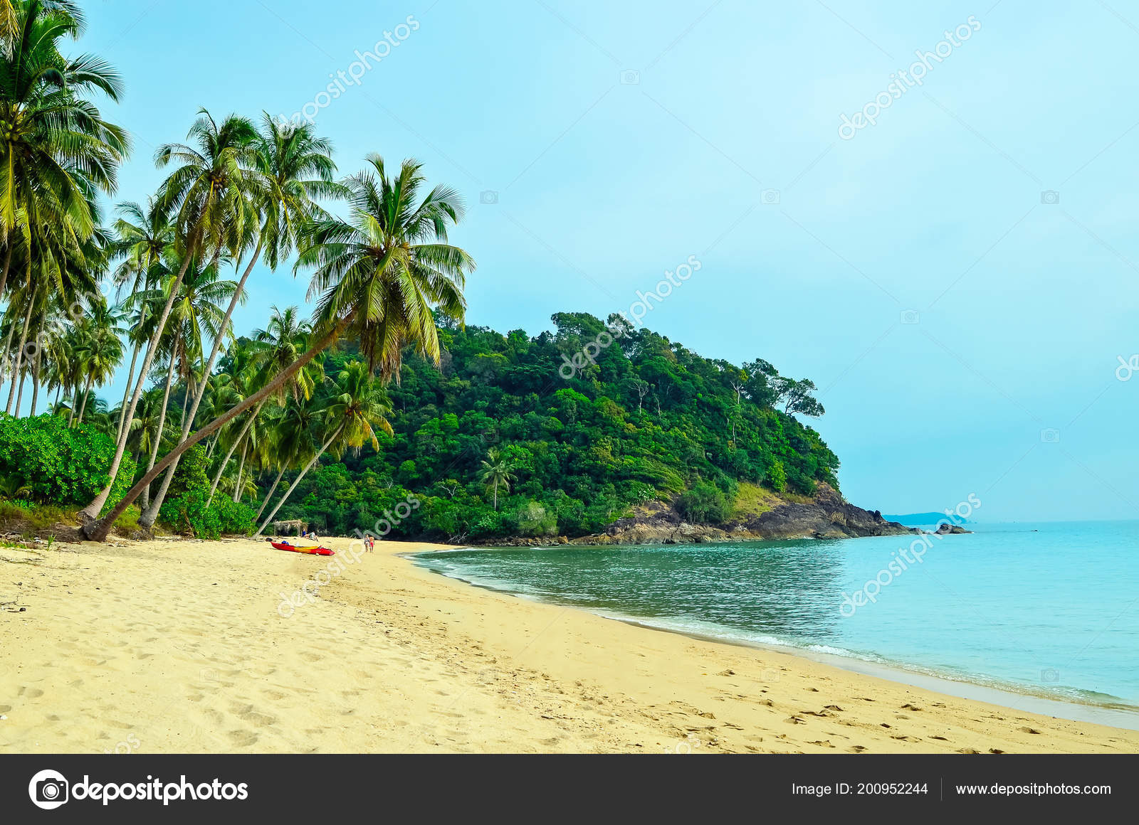 Plage De Sable Tropicale Avec Palmiers Et La Forêt Tropicale