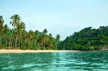 Palmiye ağaçları ve tropik orman ile tropikal kumlu plaj. Denizden ateş. Tayland, Koh Chang Adası
