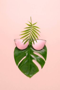 Yaz eğlence kavramı. Moda hippi Monstera trendy gözlük. Yaratıcı poster, pembe pastel arka plan