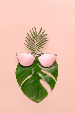 Yaz eğlence kavramı. Moda hippi Monstera trendy gözlük. Yaratıcı poster, pembe pastel arka plan