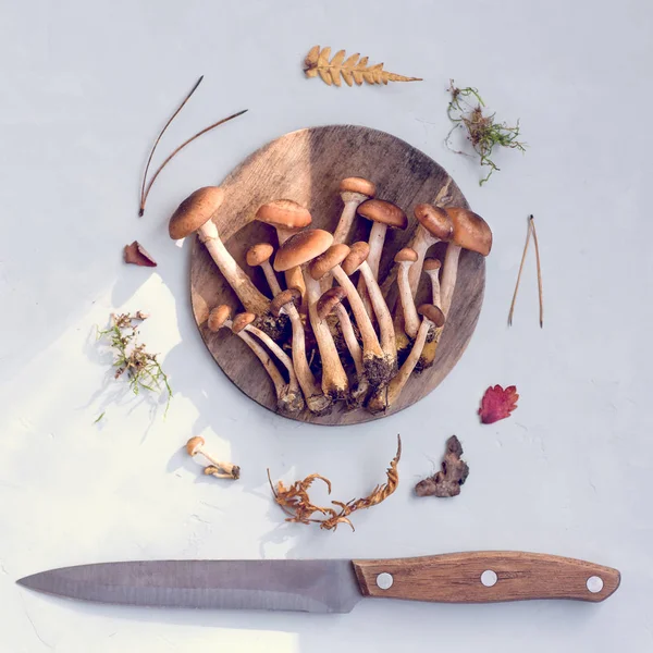Bir sürü taze, çiğ mantar bıçakla ahşap yuvarlak tabakta. Açık renkli. Üstten görünüm minimalizm