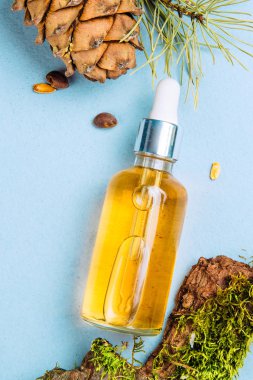 Organik Sedir yağı ve sedir koni mavi bir arka plan üzerinde. Düz yatıyordu. Güzellik blogger kavramı