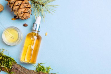 Organik Sedir yağı ve sedir koni mavi bir arka plan üzerinde. Düz yatıyordu. Güzellik blogger kavramı