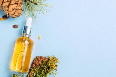 Organik Sedir yağı ve sedir koni mavi bir arka plan üzerinde. Düz yatıyordu. Güzellik blogger kavramı