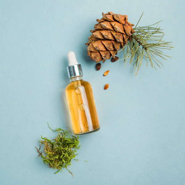 Organik Sedir yağı ve sedir koni mavi bir arka plan üzerinde. Düz yatıyordu. Güzellik blogger kavramı