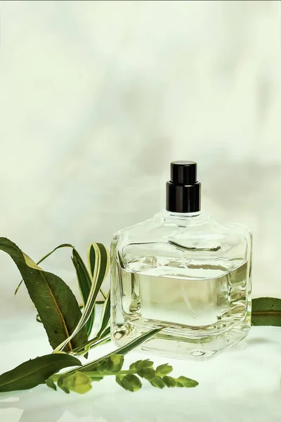 Bottiglia di profumo con piante su sfondo verde naturale. Concentrazione selettiva. Collezione di profumi, cosmetici — Foto Stock