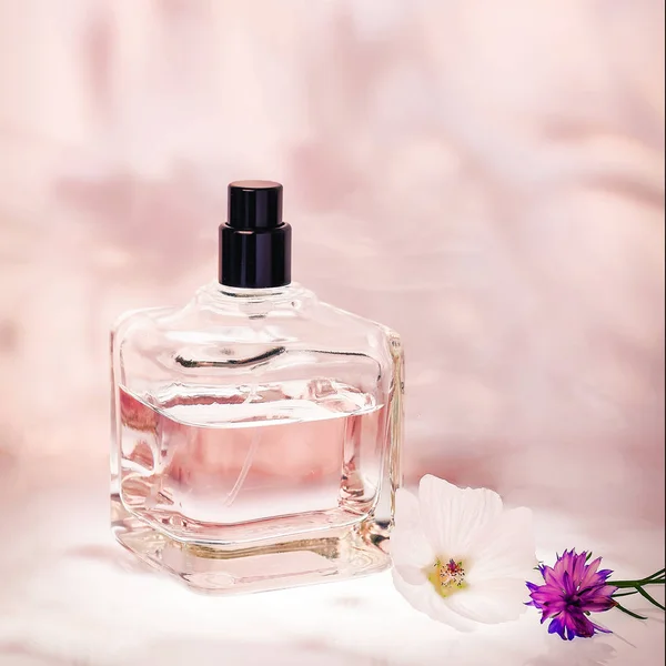 Parfümös üveg háttéren világos rózsaszín virágos növények. Szelektív összpontosít. Gyűjtemény illatszerek, kozmetikumok — Stock Fotó