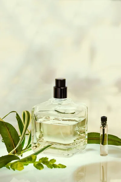 Bottiglia di profumo e campionatore con piante su sfondo verde naturale. Concentrazione selettiva. Collezione di profumi, cosmetici — Foto Stock