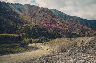 Dağ manzaraları. Dolambaçlı bir dağ nehir vadisinde, dağ yaz yatay.