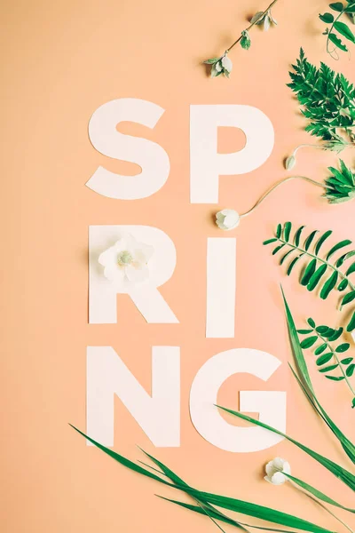 Creative układ z napisem wiosna kwiatów i liści na różowym tle. Mieszkanie świeckich minimalizm — Zdjęcie stockowe
