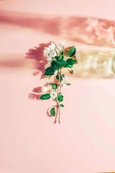 Manzano en flor sobre un fondo rosa pastel, reflejos de color. Sombras duras. Minimalismo de primavera — Foto de Stock