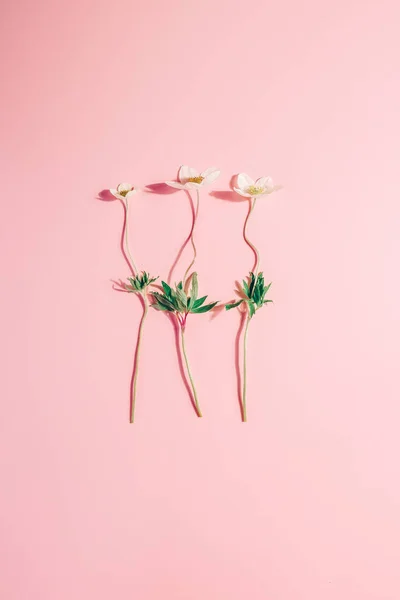 Diseño creativo con delicadas gotas de nieve sobre un fondo pastel rosa. Concepto - minimalismo de primavera — Foto de Stock