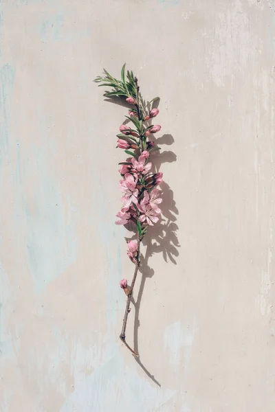 Ramo de almendras en flor sobre un fondo claro de madera, vintage. El concepto es minimalismo de primavera — Foto de Stock