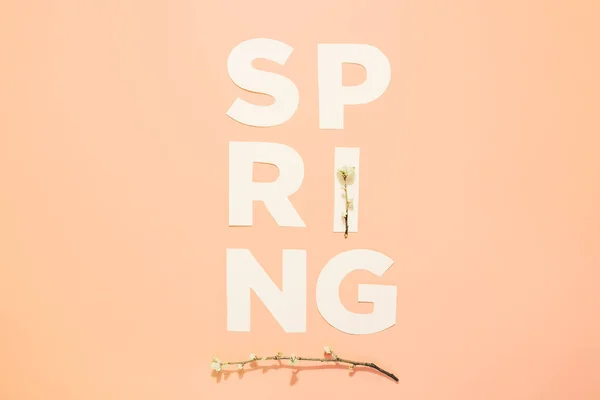 Layout criativo com inscrição Primavera e ramos floridos em fundo pastel. Miminimalismo — Fotografia de Stock