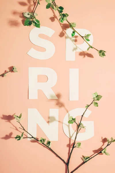 Diseño creativo con inscripción Primavera y ramas florecientes sobre fondo pastel. Miminimalismo —  Fotos de Stock