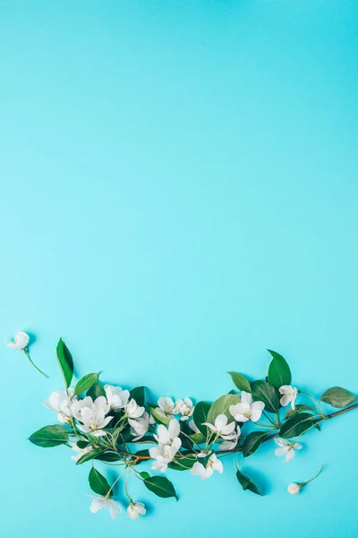 Diseño creativo con el manzano en flor sobre un fondo azul. Acostado. Concepto - minimalismo de primavera — Foto de Stock