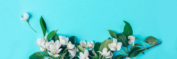 Diseño creativo con el manzano en flor sobre un fondo azul. Acostado. Concepto - minimalismo de primavera — Foto de Stock